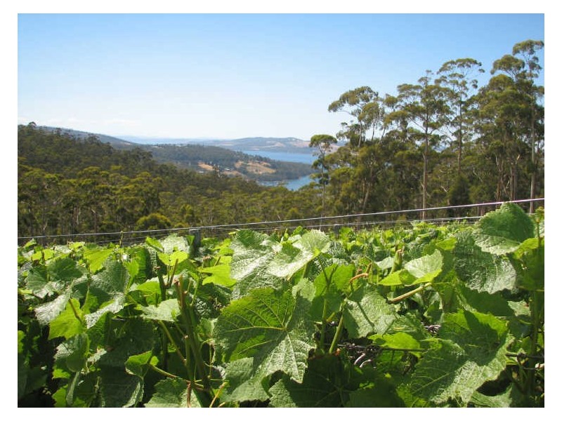 128 Groombridges Road, Kettering TAS 7155