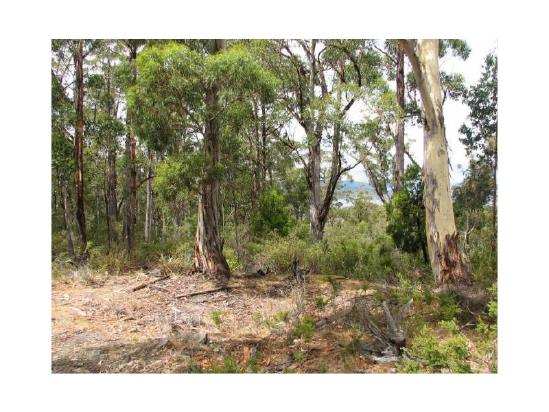 Lot 4/187 Saddle Road, Kettering TAS 7155