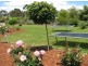 9 Derwent Avenue, Margate TAS 7054