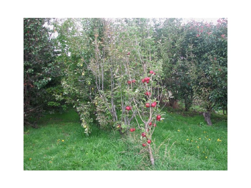 2225 Channel Highway, Snug TAS 7054