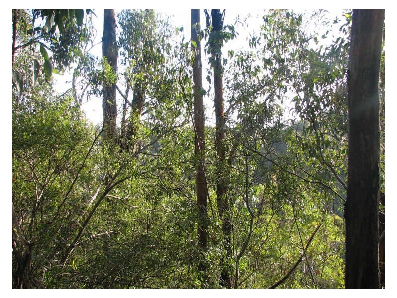 1/ Snug Tiers Road, Snug TAS 7054