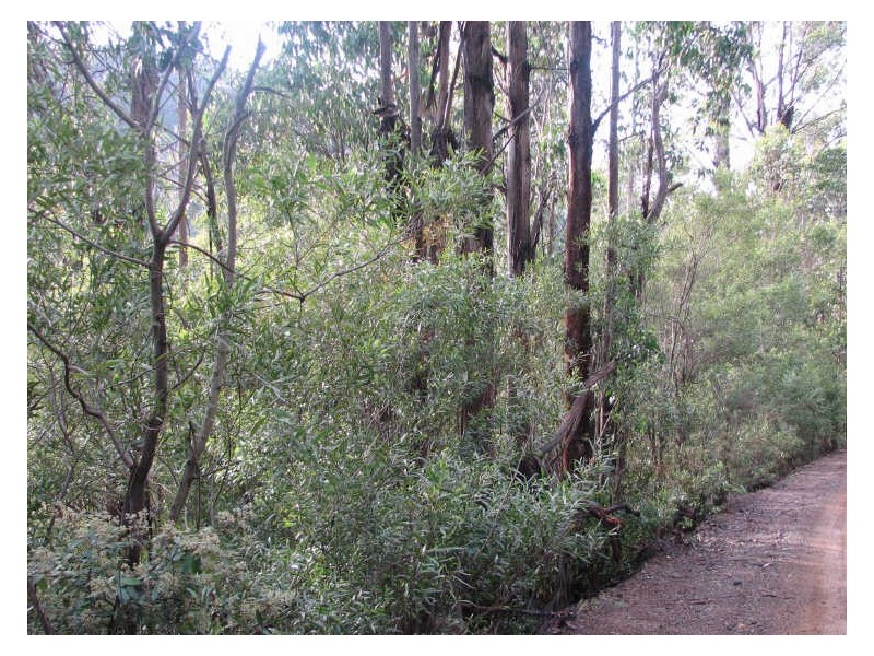 1/ Snug Tiers Road, Snug TAS 7054