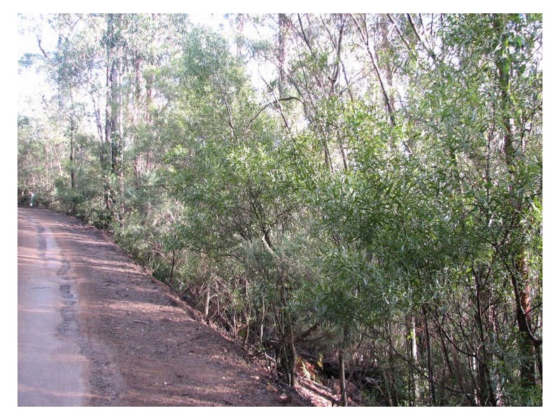 1/ Snug Tiers Road, Snug TAS 7054