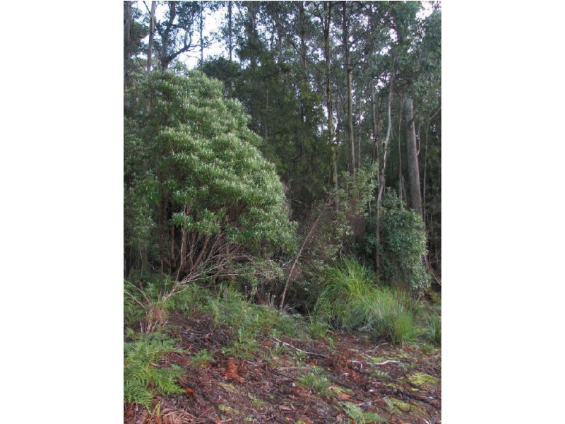 Lot 3/440 Woodbridge Hill Road, Woodbridge TAS 7162