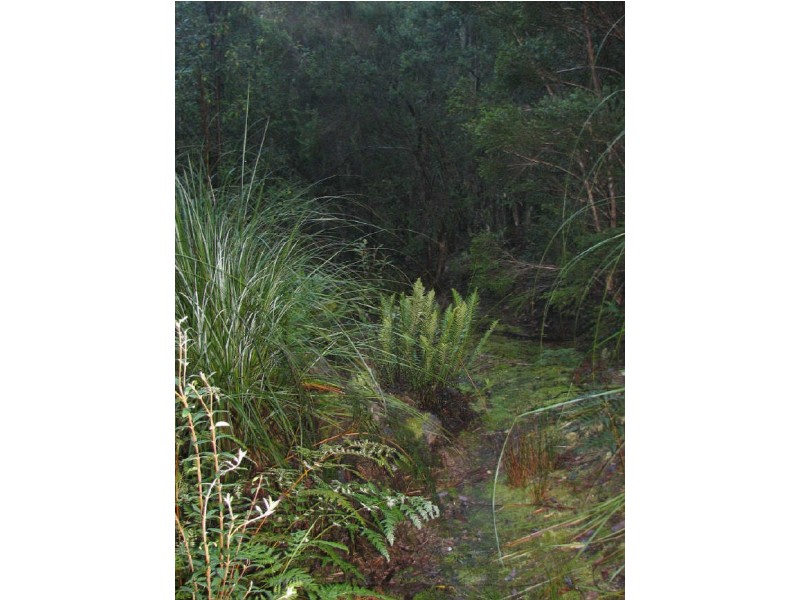 Lot 3/440 Woodbridge Hill Road, Woodbridge TAS 7162
