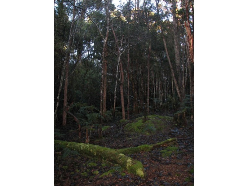Lot 3/440 Woodbridge Hill Road, Woodbridge TAS 7162