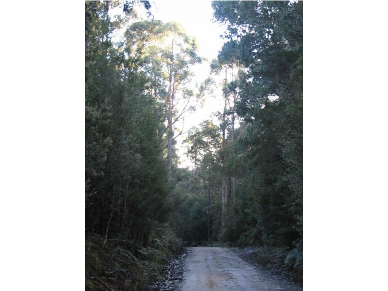 Lot 3/440 Woodbridge Hill Road, Woodbridge TAS 7162