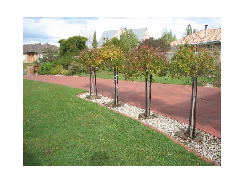 10 Sugarwood Court, Margate TAS 7054