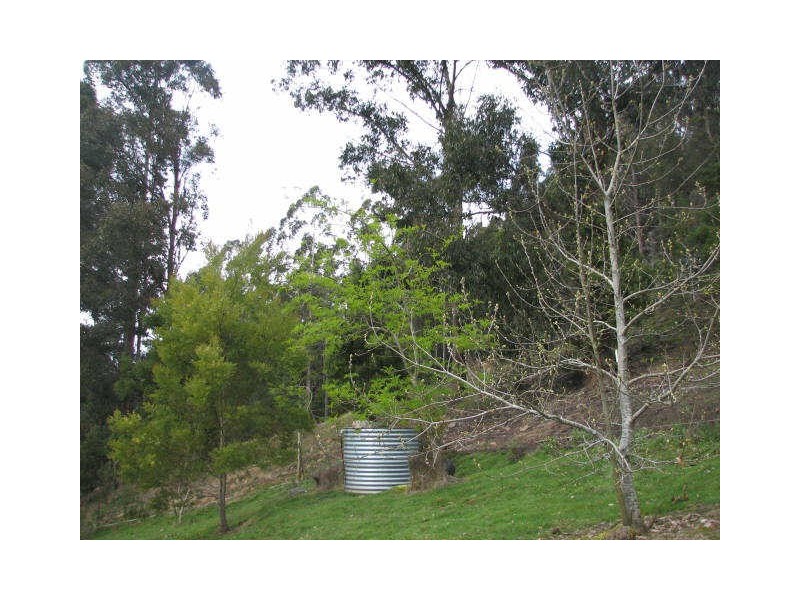 97 Smiths Road, Nicholls Rivulet TAS 7112