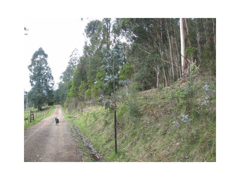 97 Smiths Road, Nicholls Rivulet TAS 7112