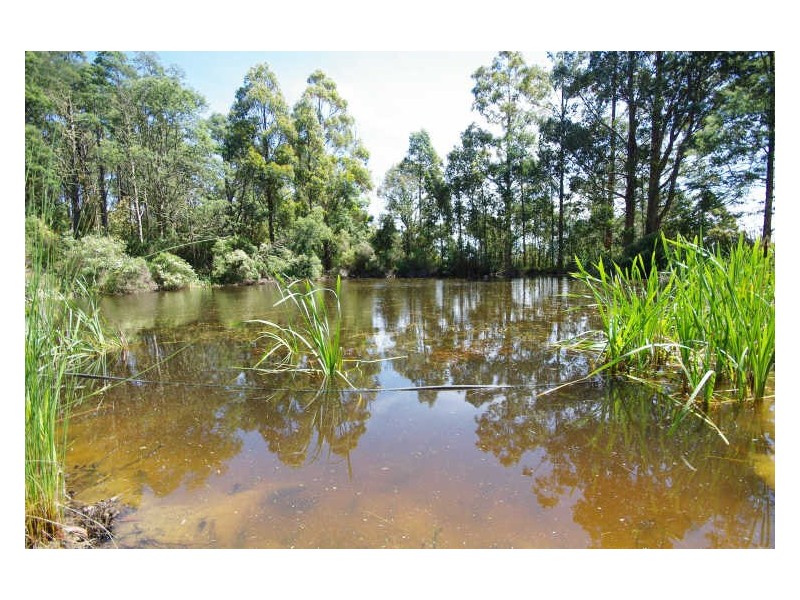 225 Umfrevilles Road, Kaoota TAS 7150