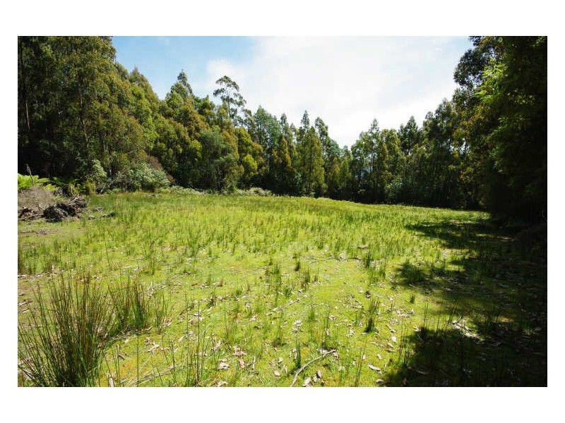 225 Umfrevilles Road, Kaoota TAS 7150