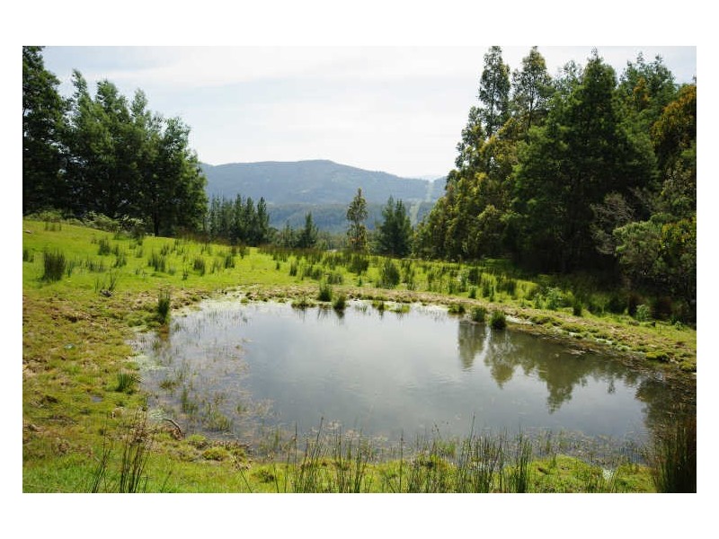 225 Umfrevilles Road, Kaoota TAS 7150