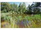 225 Umfrevilles Road, Kaoota TAS 7150