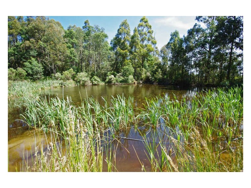 225 Umfrevilles Road, Kaoota TAS 7150