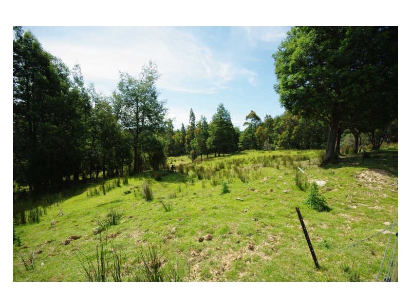 225 Umfrevilles Road, Kaoota TAS 7150