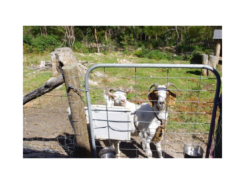 51 Denehey Road, Kingston TAS 7050