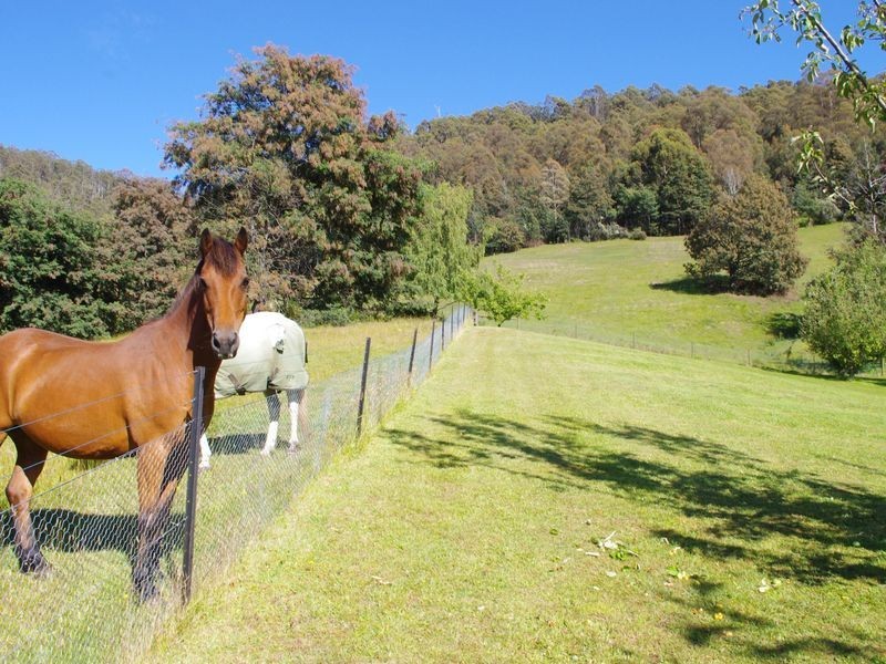 29 Daly Road, Sandfly TAS 7150