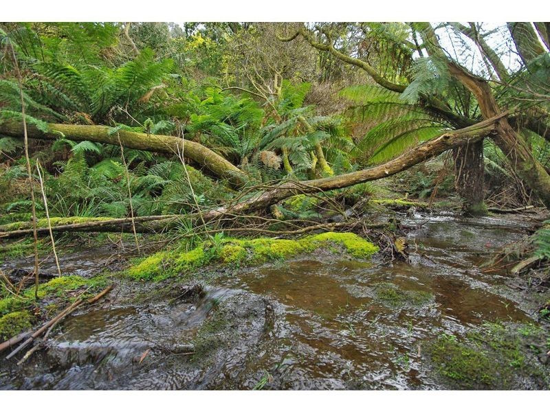 95 Palmers Road, Oyster Cove TAS 7150