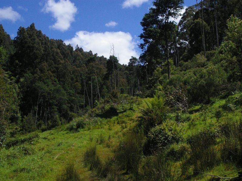 95 Palmers Road, Oyster Cove TAS 7150