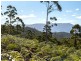 Lot 2 McGowans Road, Margate TAS 7054
