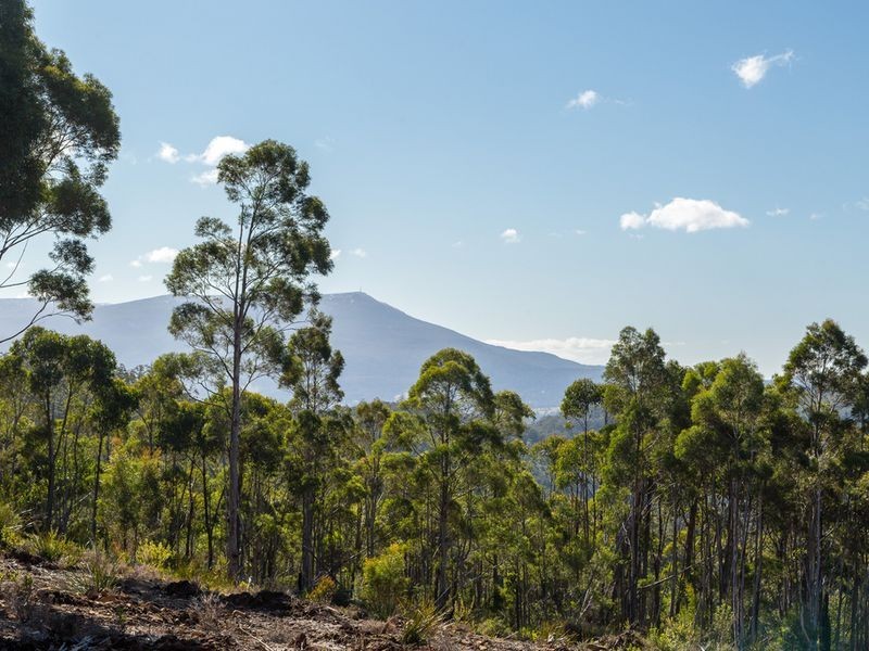 Lot 2 McGowans Road, Margate TAS 7054