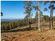 Lot 2 McGowans Road, Margate TAS 7054