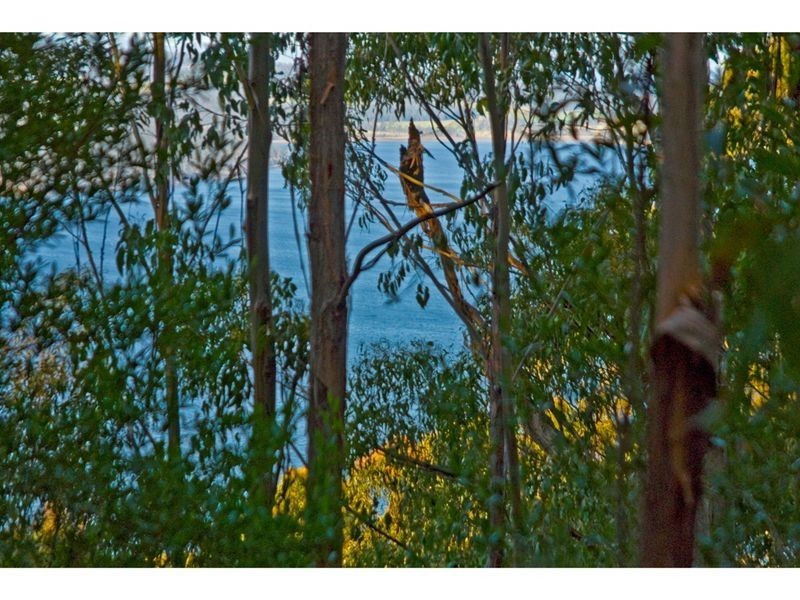 1/ Honeys Road, Flowerpot TAS 7163