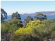 16 Rivington Close, Coningham TAS 7054