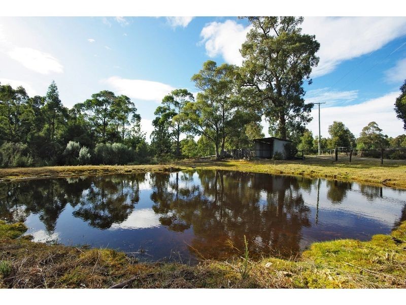 16 O’Briens Road, Lower Longley TAS 7109