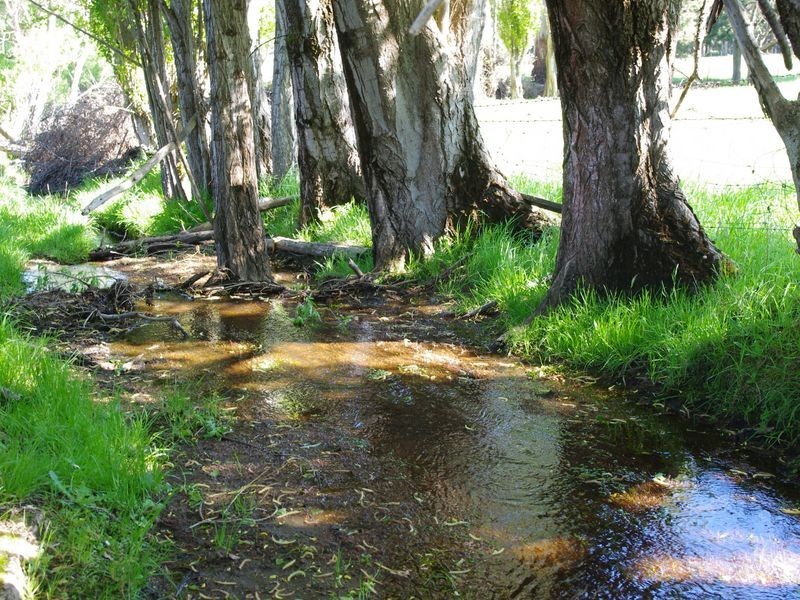 251 Lucaston Road, Lucaston TAS 7109