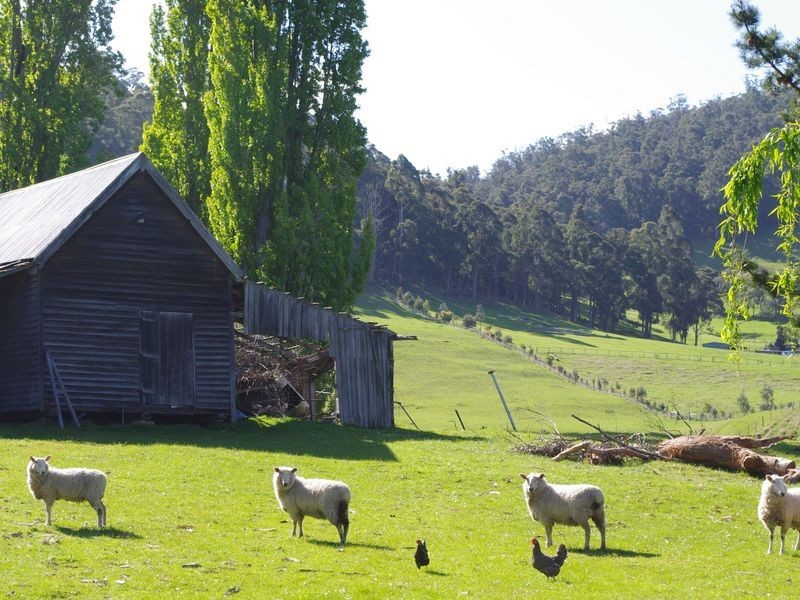 251 Lucaston Road, Lucaston TAS 7109