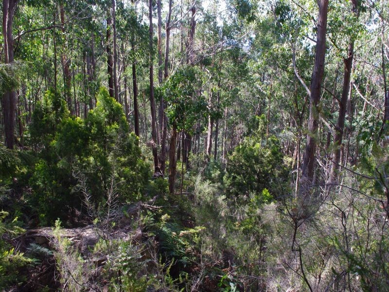 1/ Kregors Road, Gordon TAS 7150