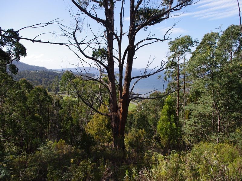 1/ Kregors Road, Gordon TAS 7150