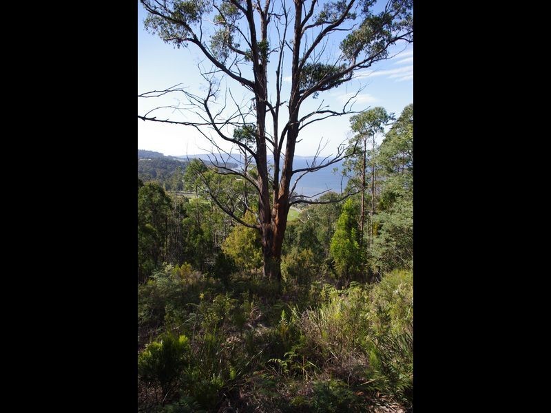 1/ Kregors Road, Gordon TAS 7150