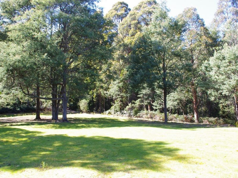 Nicholls Rivulet TAS 7112