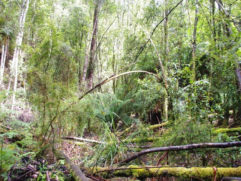 1/237703 Underwoods Road, Nicholls Rivulet TAS 7112