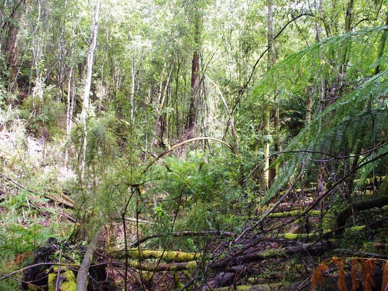 1/237703 Underwoods Road, Nicholls Rivulet TAS 7112