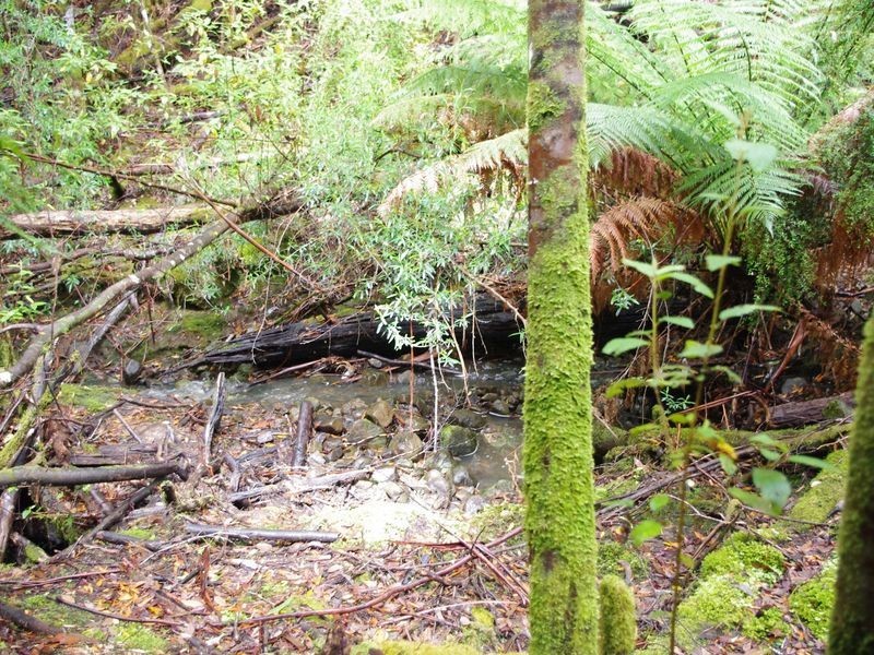 1/237703 Underwoods Road, Nicholls Rivulet TAS 7112