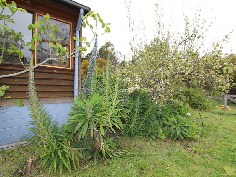 113 Manuka Road, Oyster Cove TAS 7150