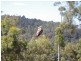 57 Snug Falls Road, Snug TAS 7054