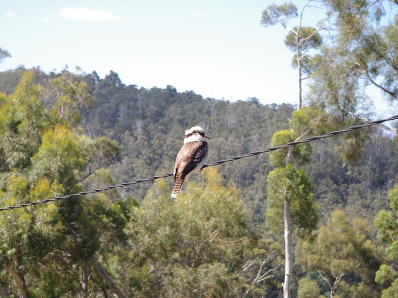 57 Snug Falls Road, Snug TAS 7054