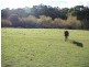 106 Watsons Road, Kettering TAS 7155