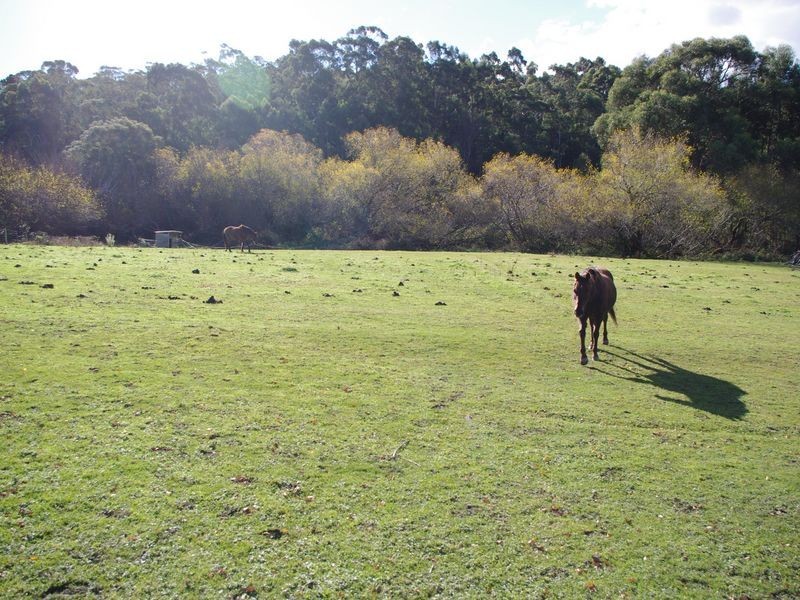 106 Watsons Road, Kettering TAS 7155