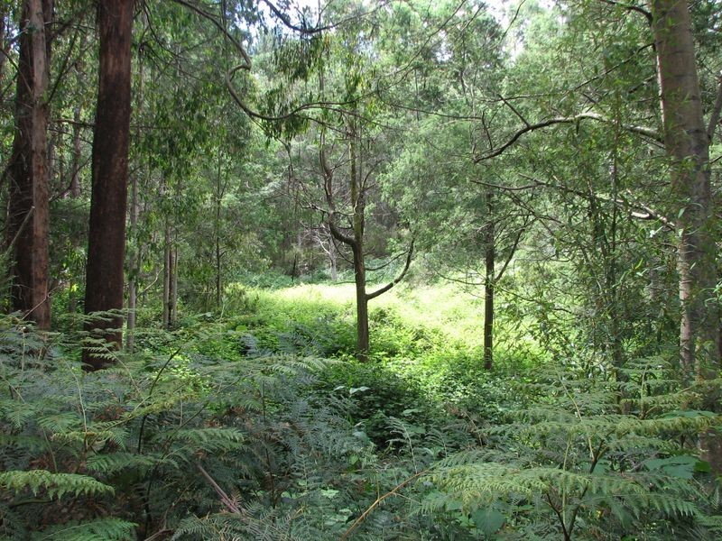 148 Coxs Road, Middleton TAS 7163