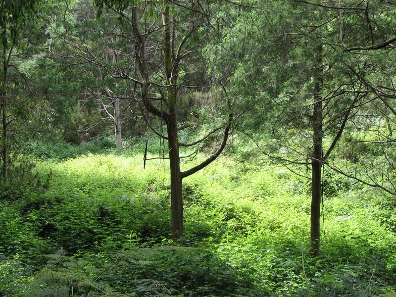 148 Coxs Road, Middleton TAS 7163