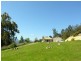 47 Allens Road, Grove TAS 7109