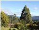 149 Umfrevilles Road, Kaoota TAS 7150
