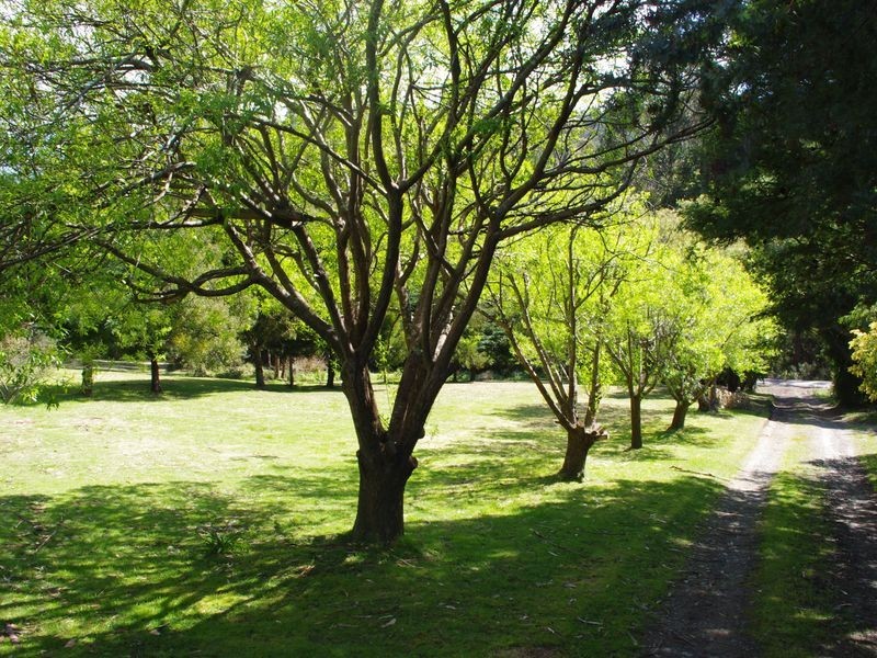 89 Snug Tiers Road, Snug TAS 7054