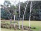 990 Woodbridge Hill Road, Gardners Bay TAS 7112